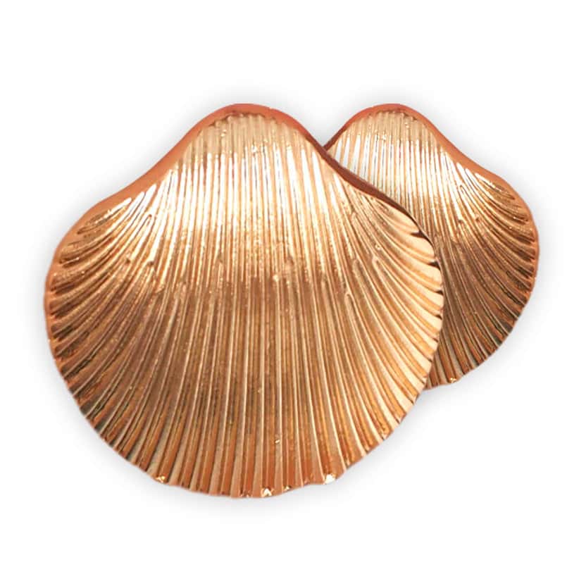 Orecchini Conchiglia Grande Conchiglia Dorata