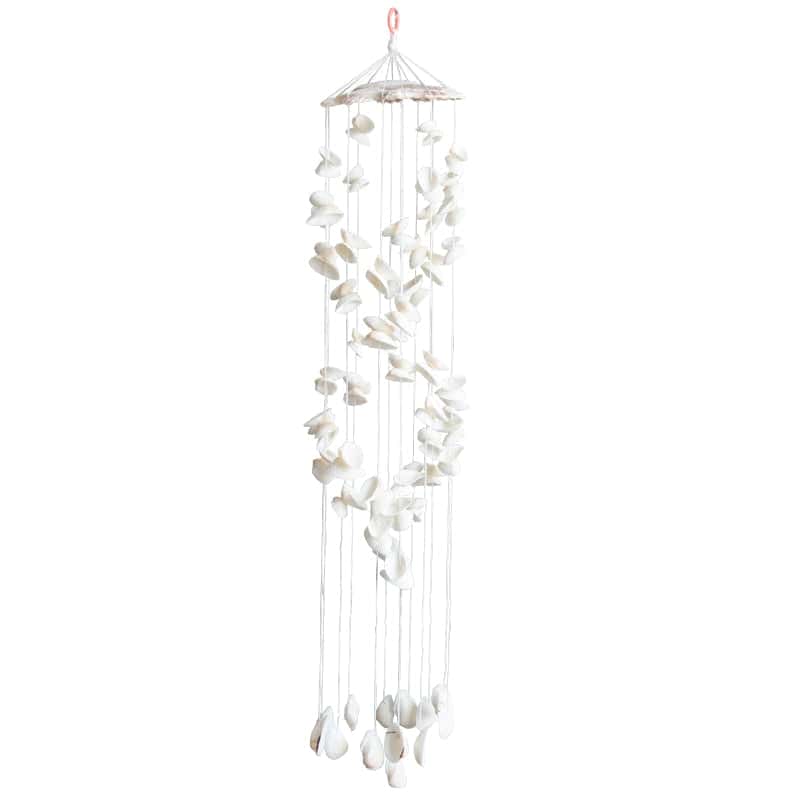 Conchiglie Decorative Gusci E Coquilles Bianchi
