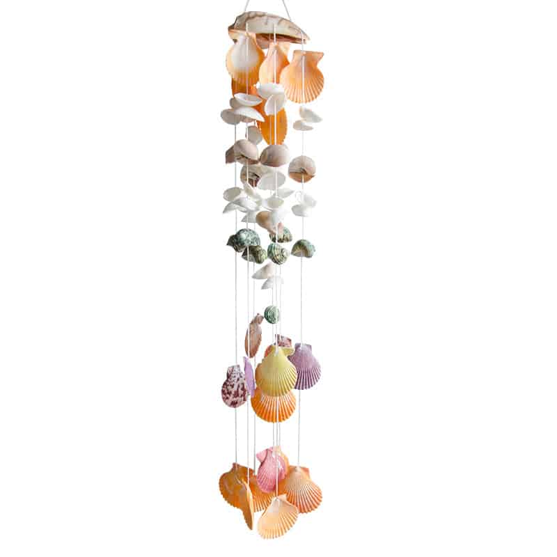 Conchiglie Decorative La Concha